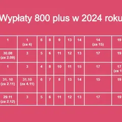 800 plus: Do kiedy wniosek? Terminy 2025/2026 i ciągłość wypłat