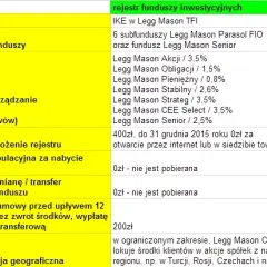 Czy towarzystwo funduszy inwestycyjnych może stworzyć IKE i co warto wiedzieć?