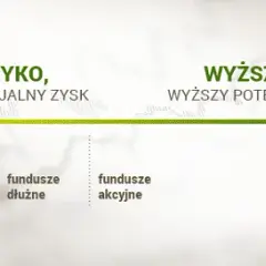 Czy fundusze papierów dłużnych inwestują w akcje? Odkryj prawdę o ryzyku