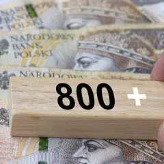 800 plus a kryterium dochodowe: Czy Twoje zarobki mają znaczenie?