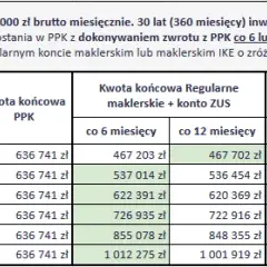 Ppk jakie oprocentowanie - jak uniknąć niskich zysków z inwestycji