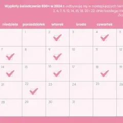 800 plus: Zasady, terminy i czy będzie waloryzacja?
