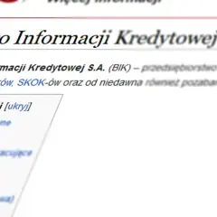 Czym jest BIK i jak wpływa na Twoją historię kredytową?