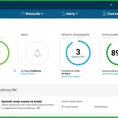 Co widzi bank w raporcie BIK? Kluczowe informacje o Twojej historii kredytowej