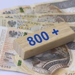 Drewniany klocek z napisem "800+" leży na polskich banknotach 200 zł.