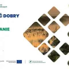 Jak napisać prośbę o dofinansowanie, aby zwiększyć szanse na sukces