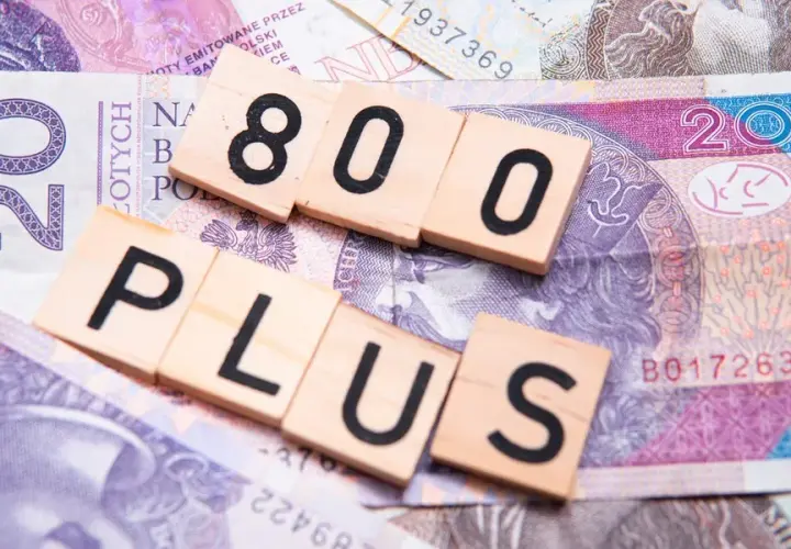 800 plus: Jak dostać 800 zł? Wniosek, warunki, terminy. Poradnik