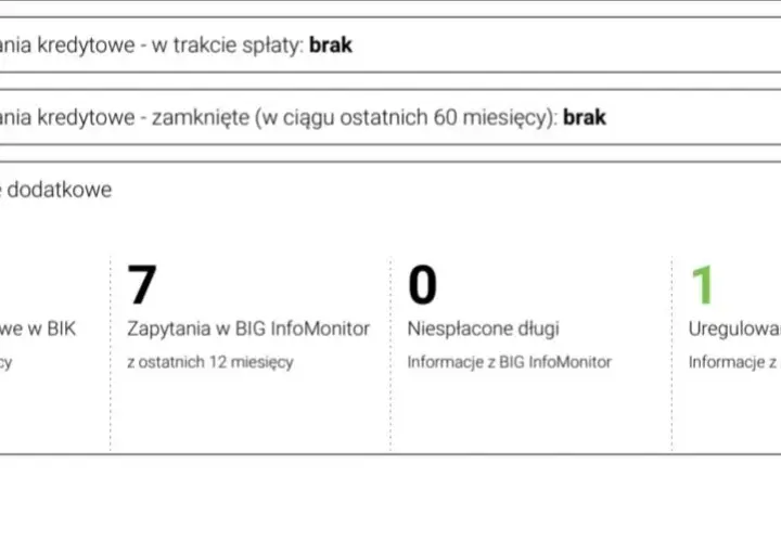 Co bank widzi w BIK? Kluczowe informacje dla kredytobiorców