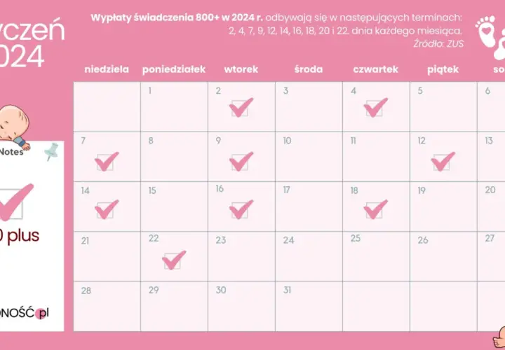 800 plus: Zasady, terminy i czy będzie waloryzacja?