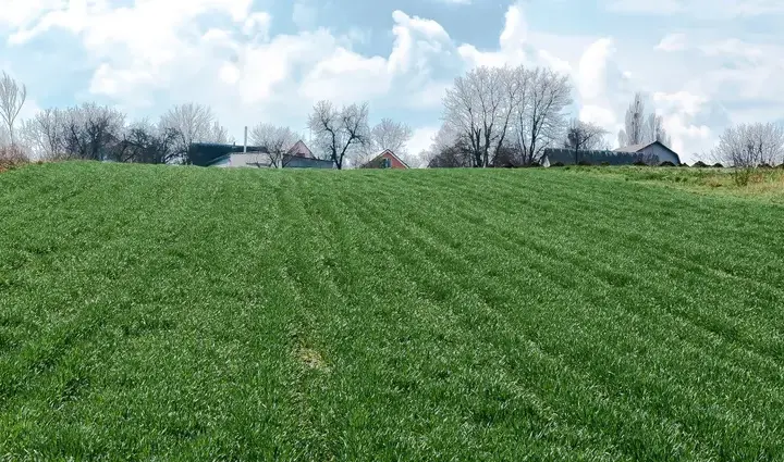 Działka jako wkład własny do kredytu - sprawdź możliwości