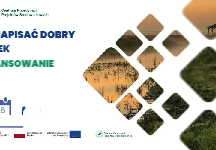 Jak napisać prośbę o dofinansowanie, aby zwiększyć szanse na sukces