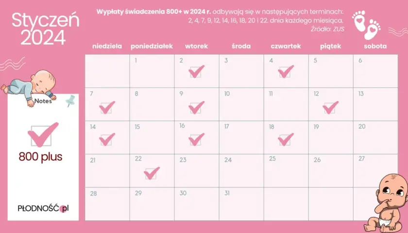 800 plus: Zasady, terminy i czy będzie waloryzacja?