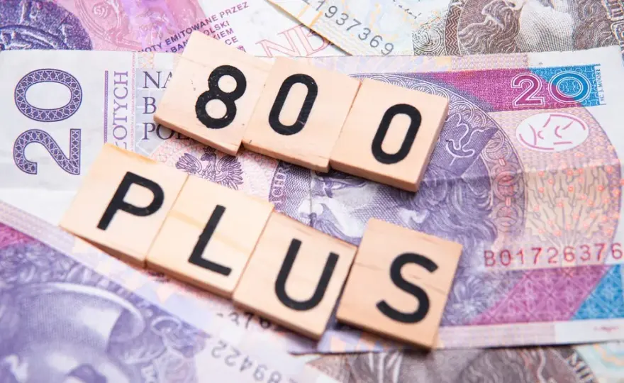 800 plus: Jak dostać 800 zł? Wniosek, warunki, terminy. Poradnik