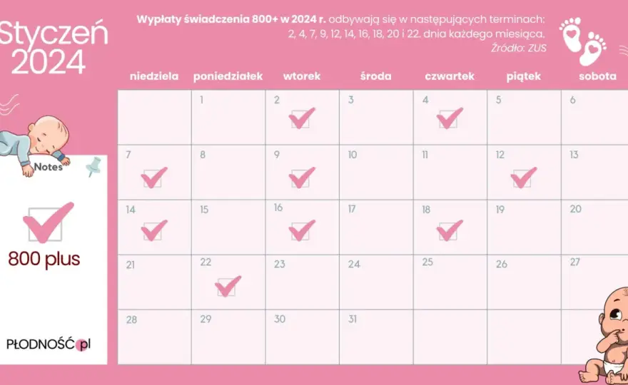 800 plus: Zasady, terminy i czy będzie waloryzacja?