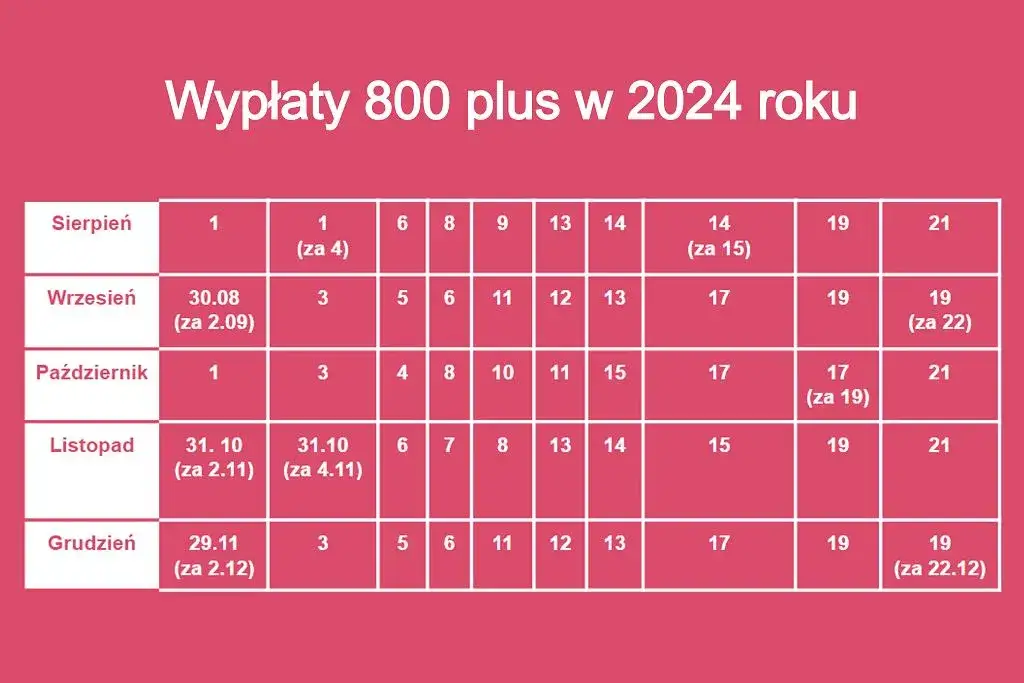 kalendarz 800 plus terminy