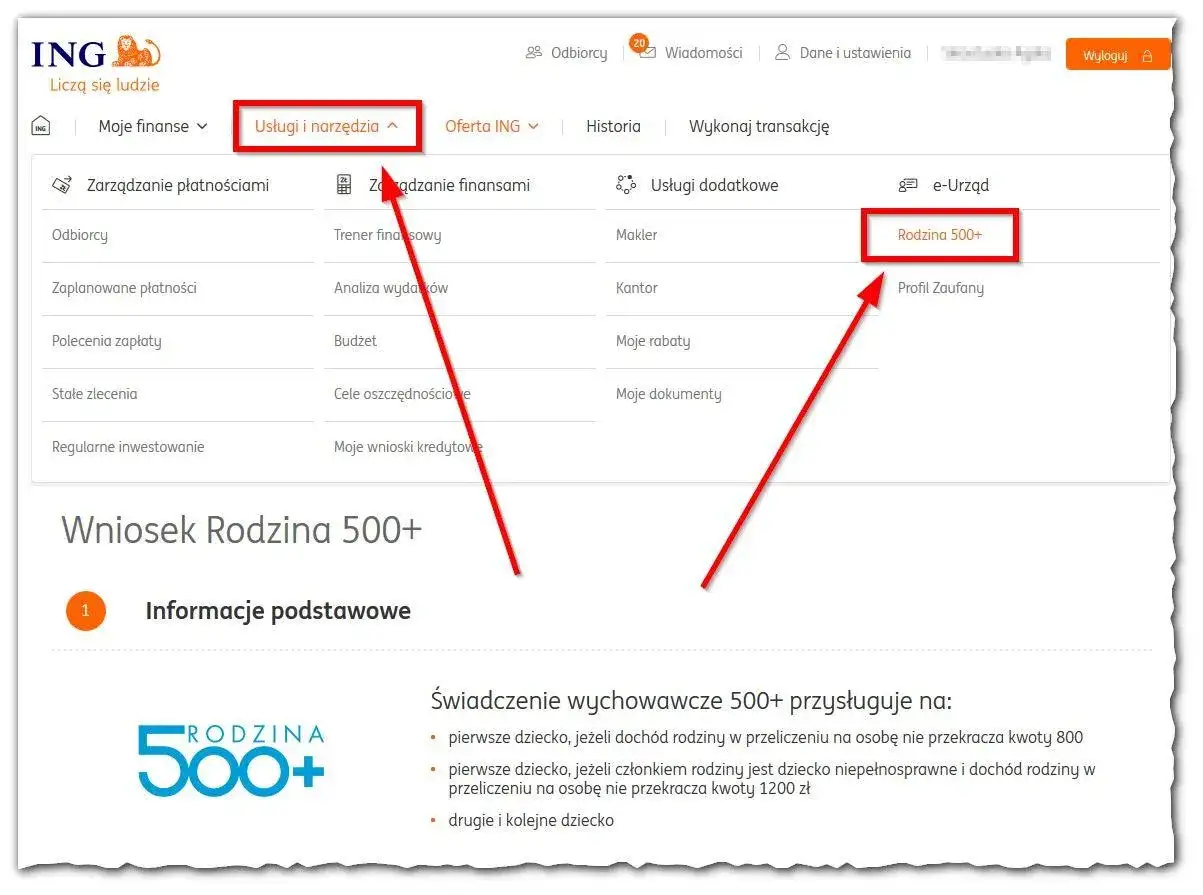 wniosek 800 plus online
