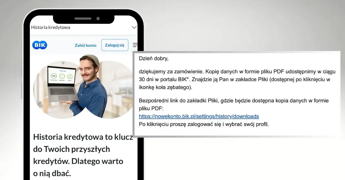 Zdjęcie Jak włączyć alerty BIK i uniknąć problemów finansowych?
